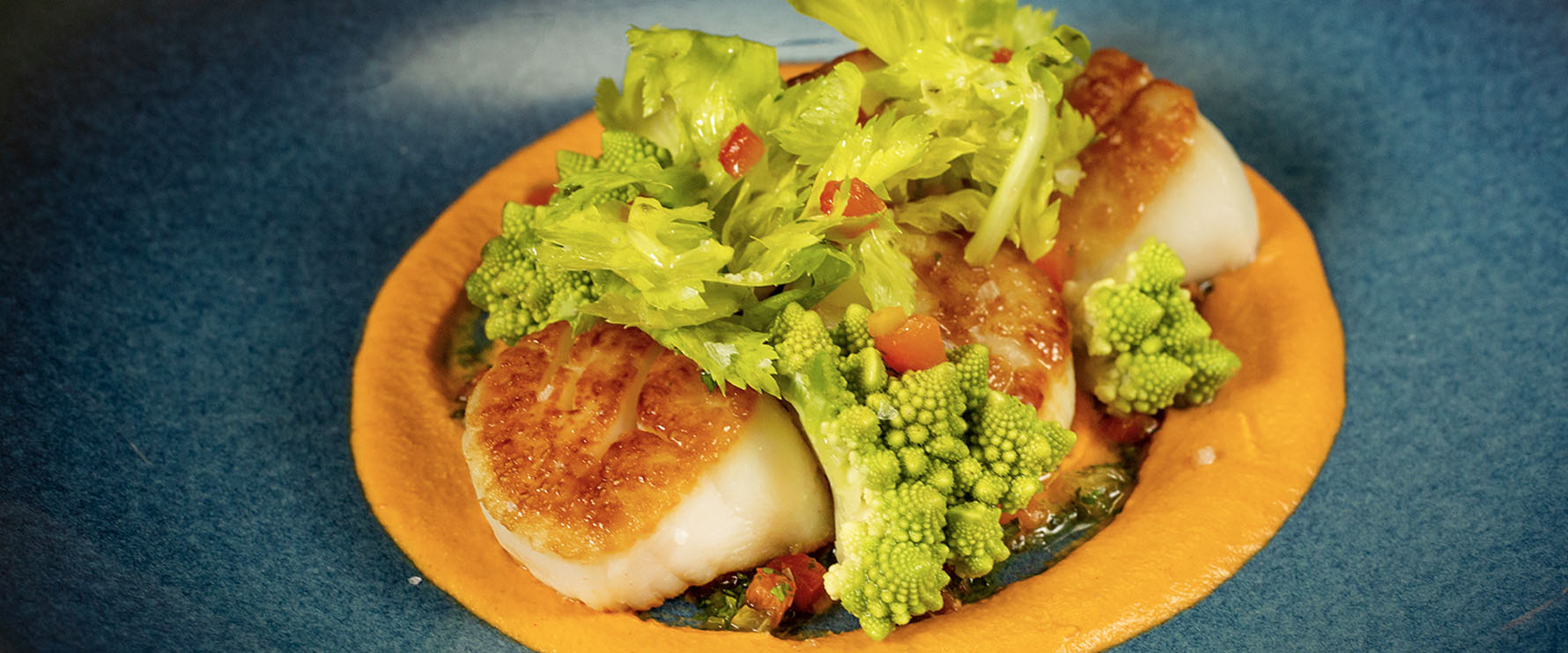 Del Mar Naples Scallops entrée prepared with roasted pepper purée, romanesco, preserved lemon on blue plate.